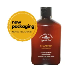 Bee by the Sea: Shampoo or Conditioner
