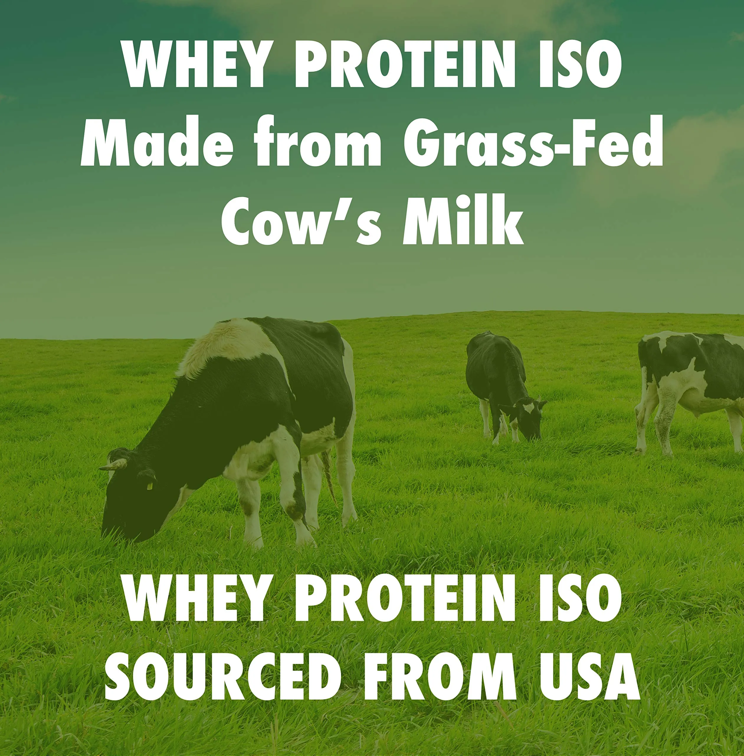 Healthyhey Nutrition Grass-Fed Whey Protein Isolate - 1kg (Unflavoured)