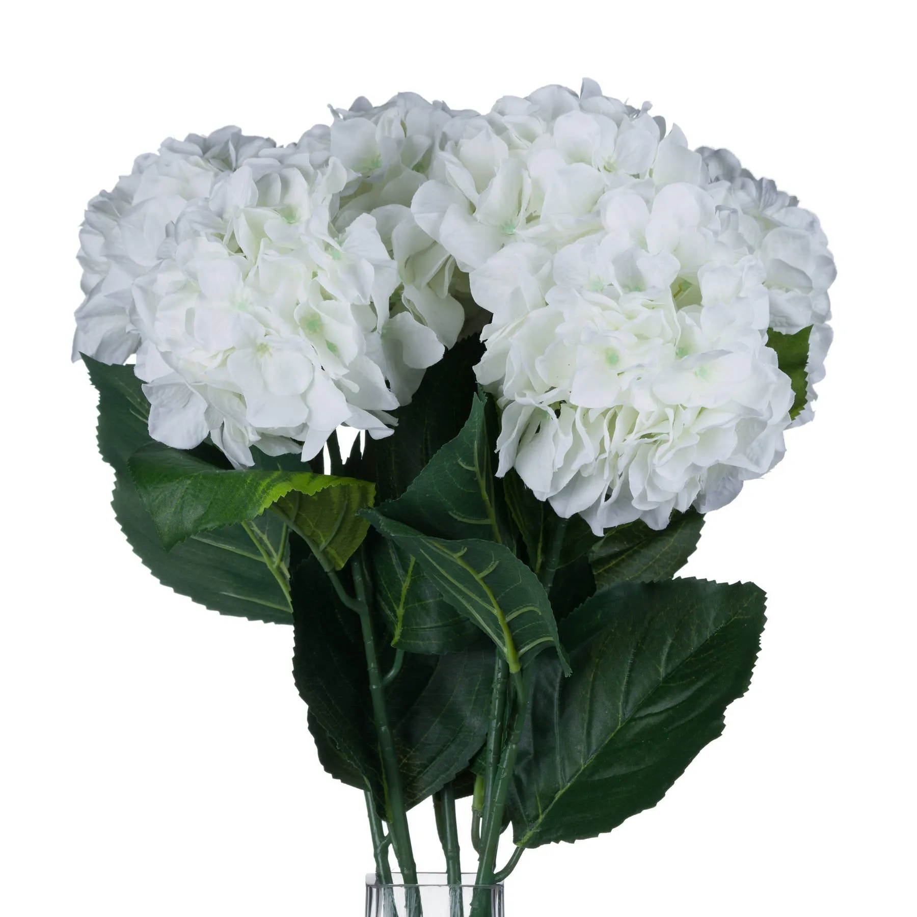 White Single Stem Small Head Hydrangea